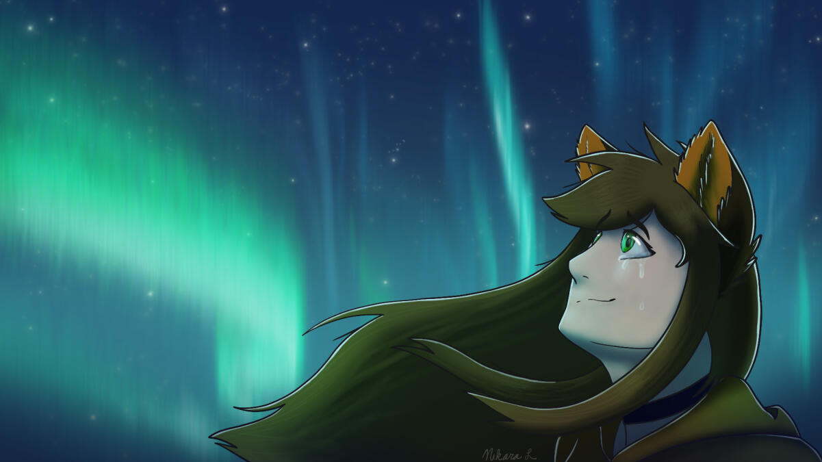 Aurora Borealis